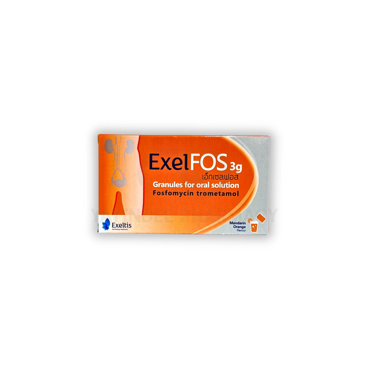 EXELFOS 3G (1 ซอง/กล่อง)