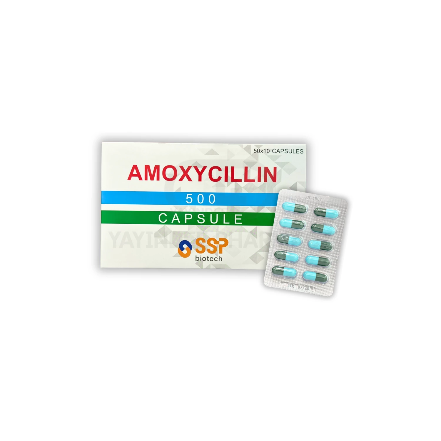 AMOXYCILIN 500 MG สีเขียว-ฟ้า (50x10'S)