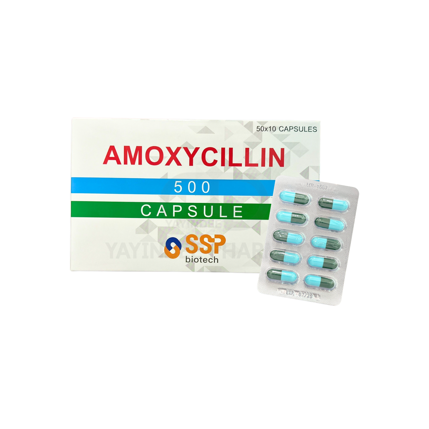 MOXILIN-500 CAPSULES 10'S เขียว-ฟ้า (50x10'S)